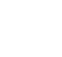 Deluxe Logo