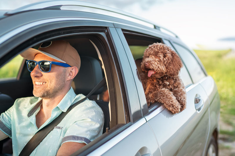 auto loans for september