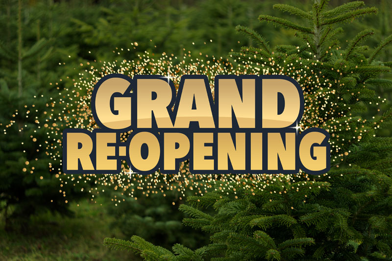 15-month term share special